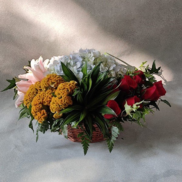 Main Product Image