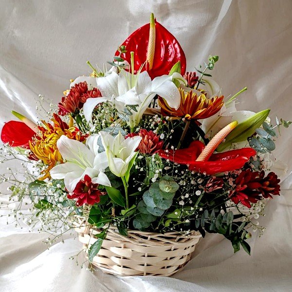 Main Product Image