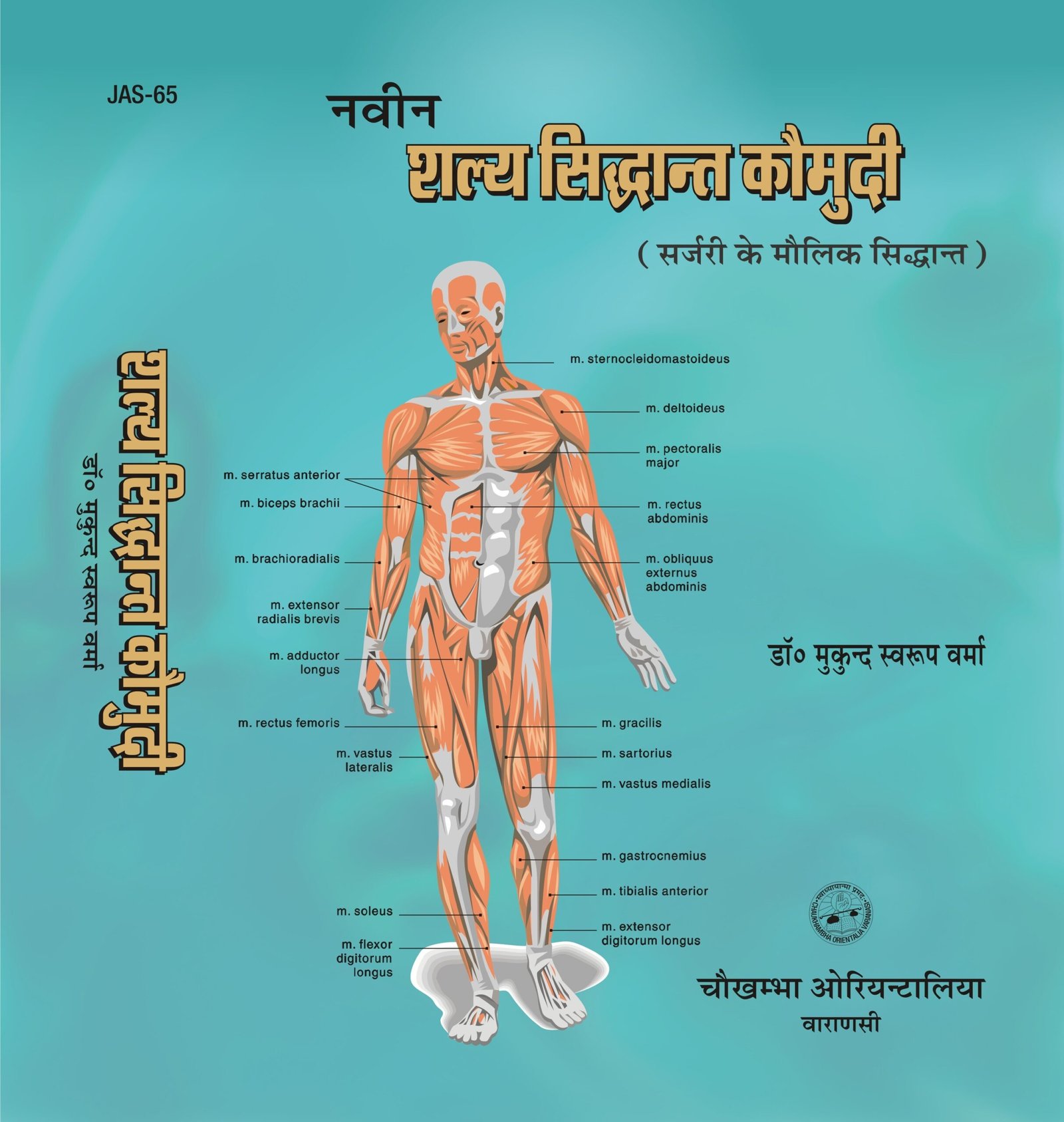 Main Product Image